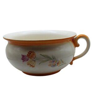 Vintage Coronet Ware Glazed Ceramic Floral Chamber Pot Parrot Co England Planter